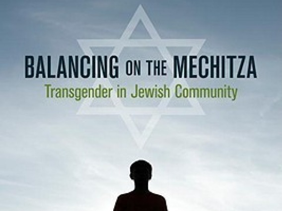 Balancing on the Mechitza: Transgender in Jewish Community