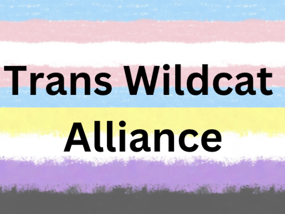 trans wildcat alliance text foregrounds the trans non binary flag