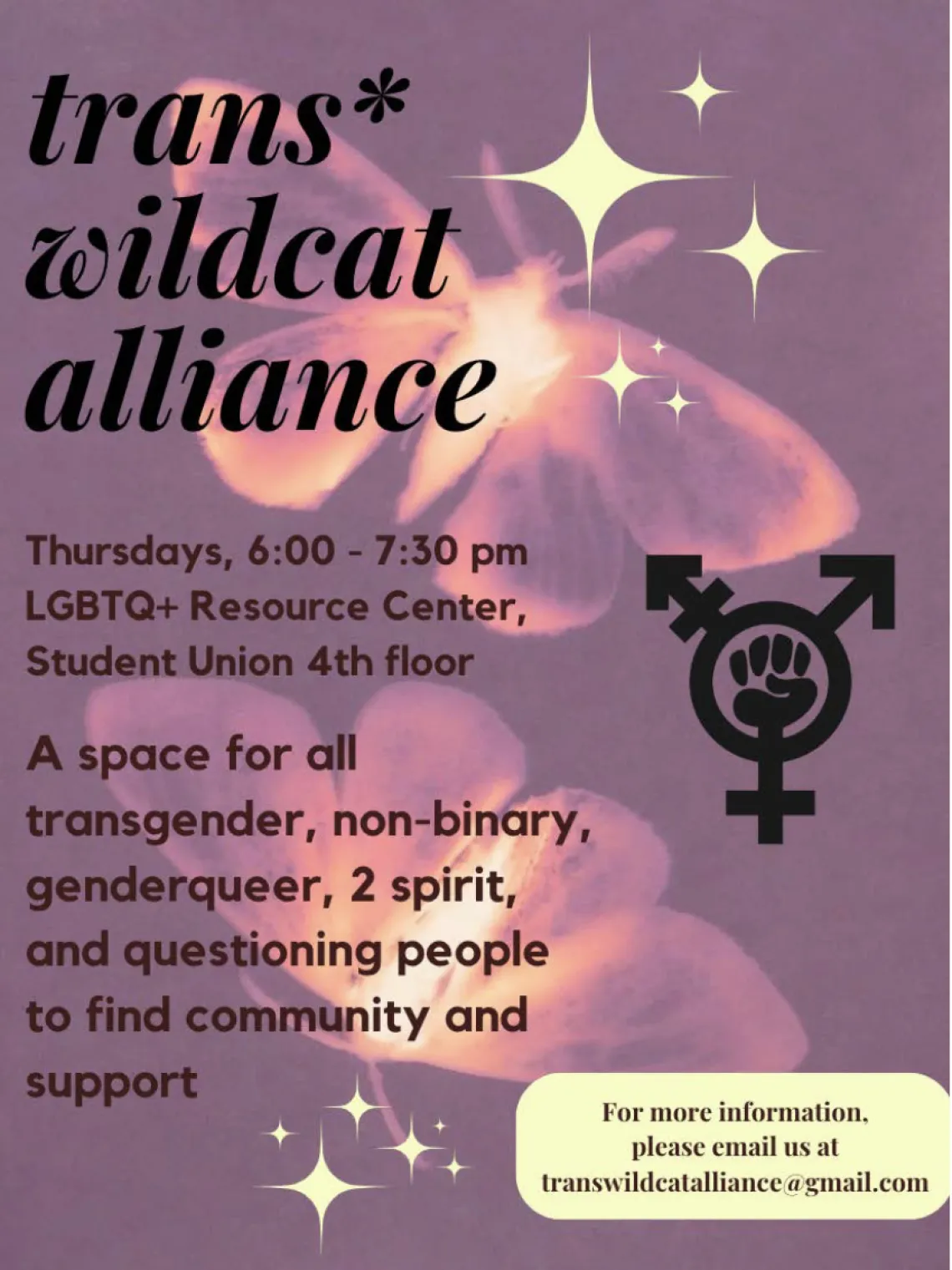 Purple flyer with light yellow stars and pink and yellow moths in the background. Black text reads "trans* wildcat alliance" and details the club. (All other text in caption)