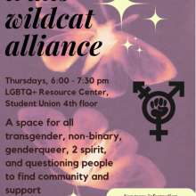 Purple flyer with light yellow stars and pink and yellow moths in the background. Black text reads "trans* wildcat alliance" and details the club. (All other text in caption)